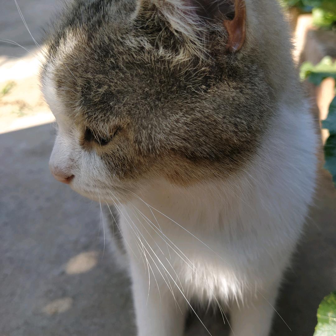 刚刚好👍👍👍