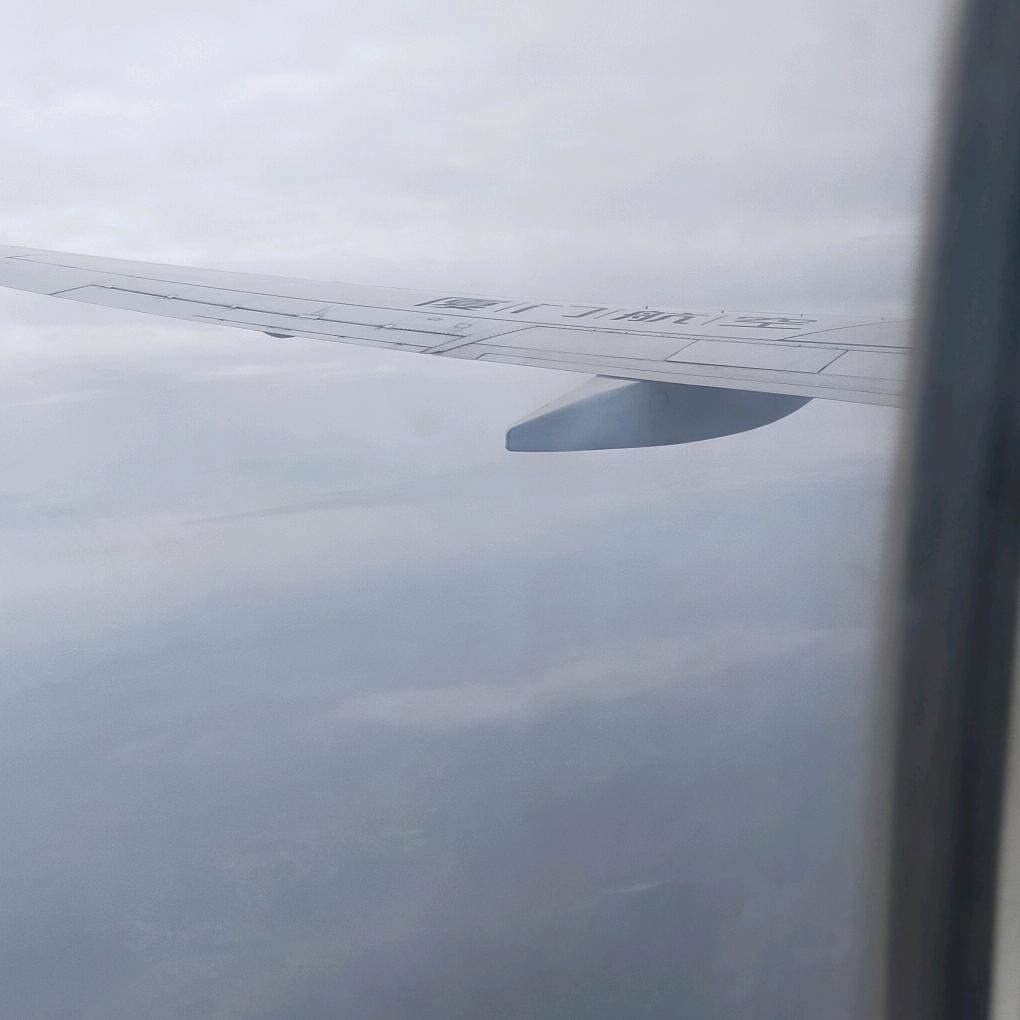 情深似海