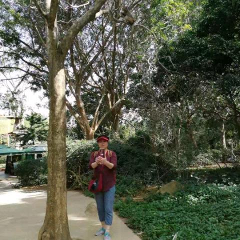 红姐的旅行生活