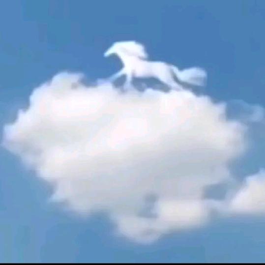 一夜知秋