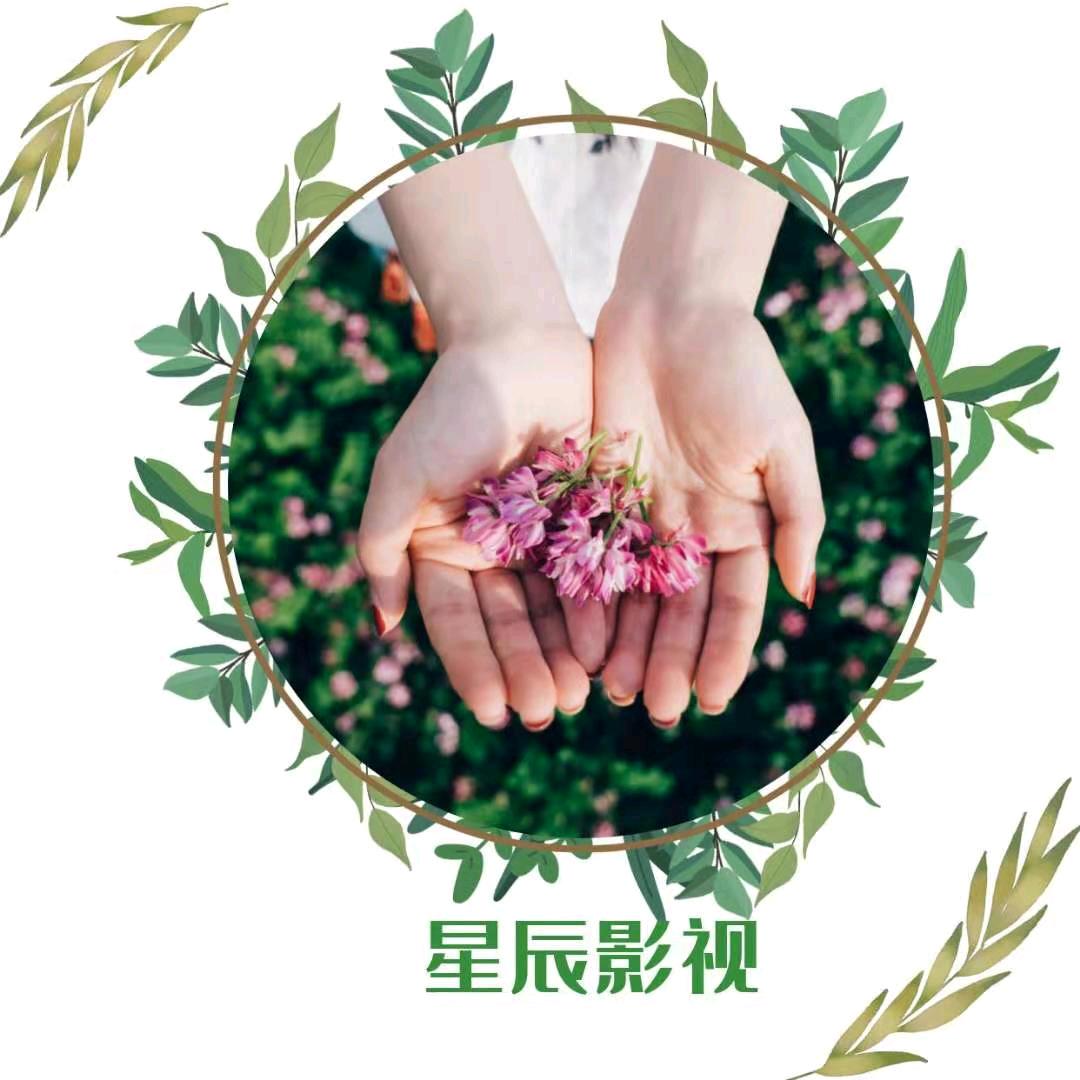 星晨影视
