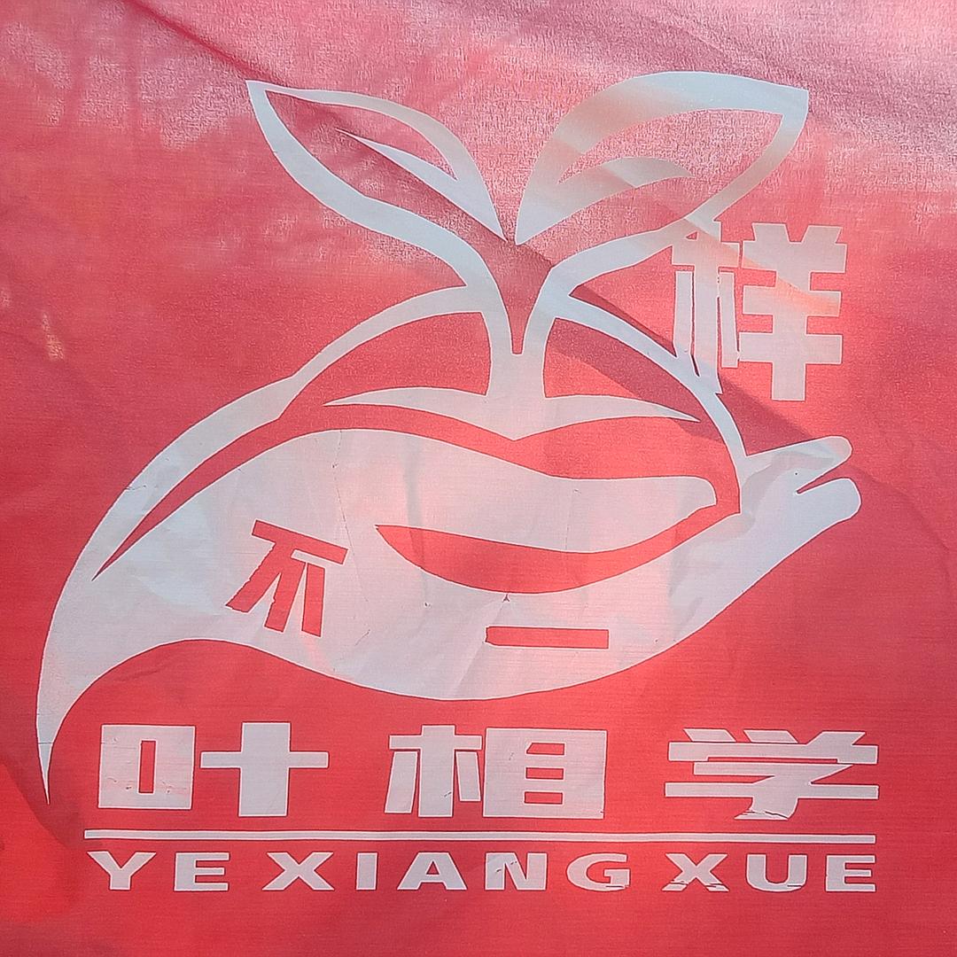 果树叶相剪枝