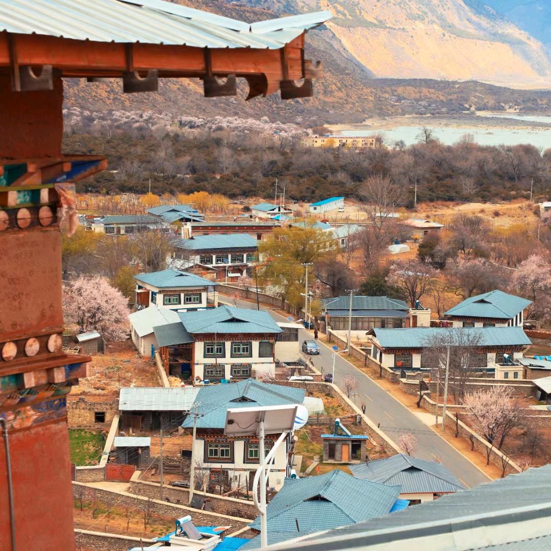 阿巍