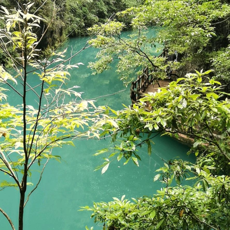 流水的年华_207788463