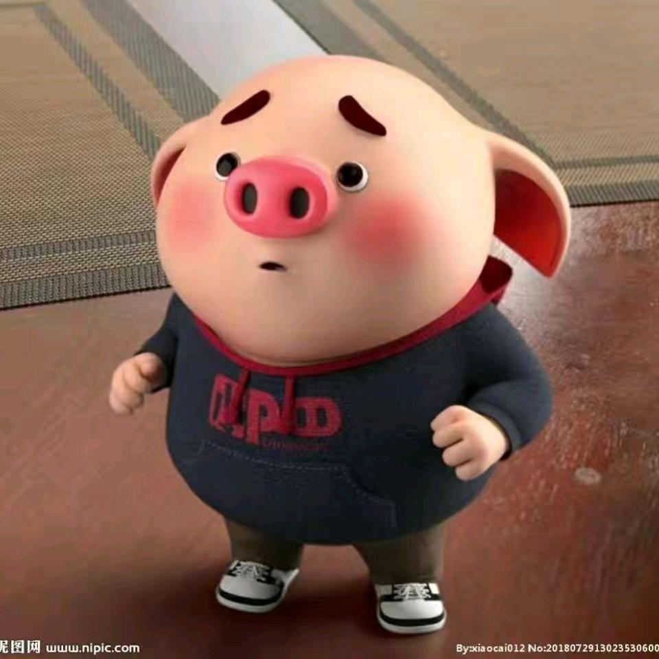 幸福 🐷᭄ 🐷᭄