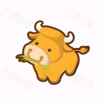 莘县李梦清真牛羊肉店