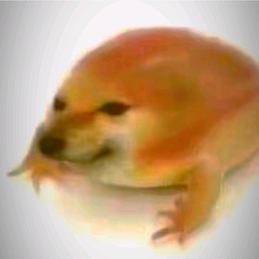 广西老表
