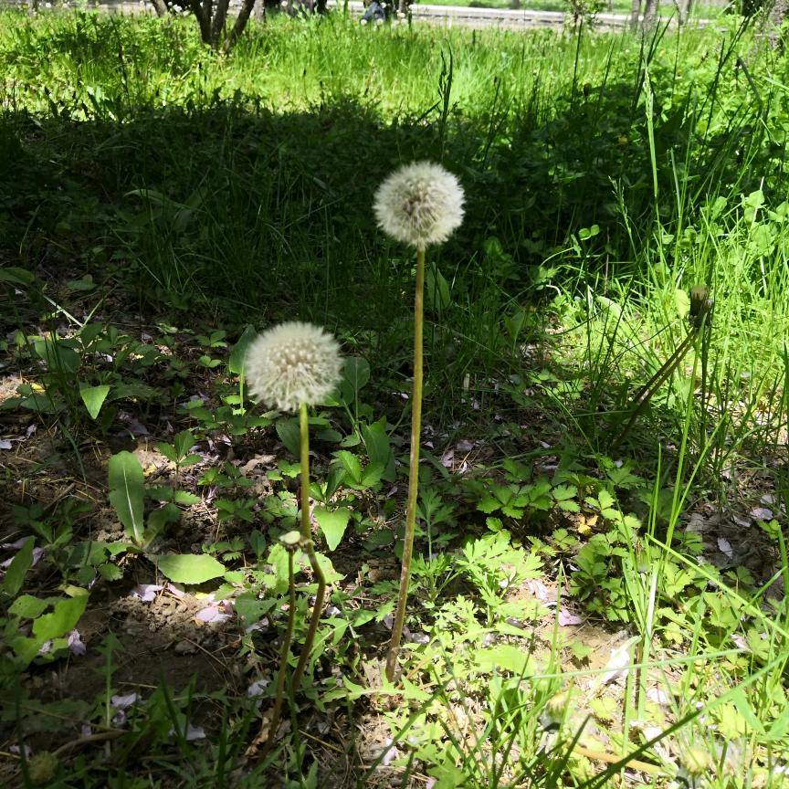 漂亮妈妈的老公