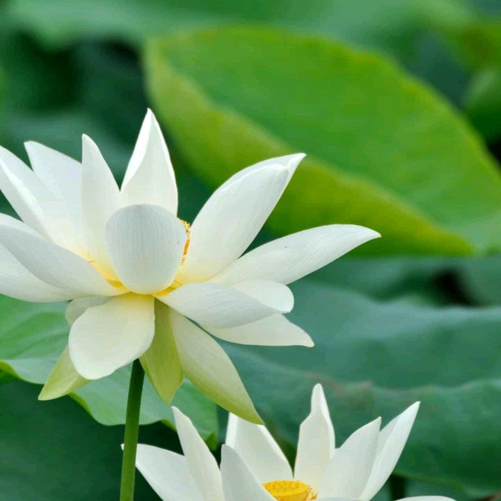 滴酒不沾