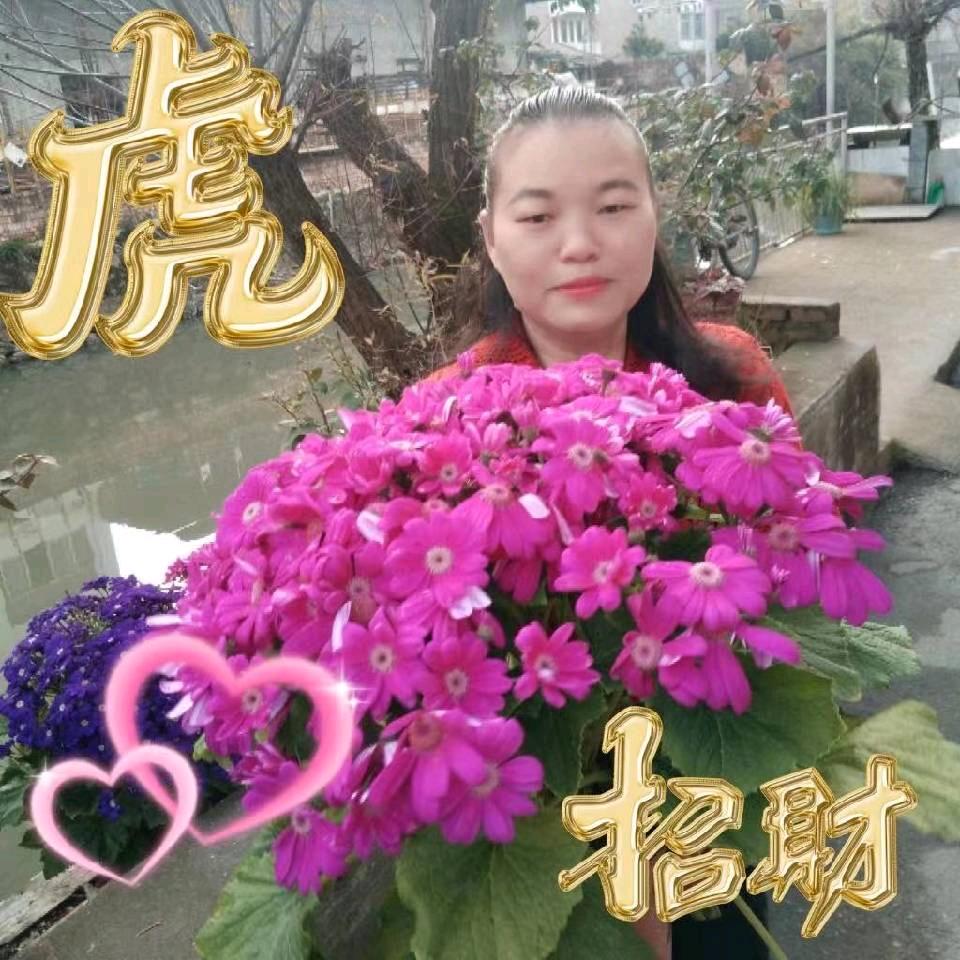 打工人雨露橱窗有好物