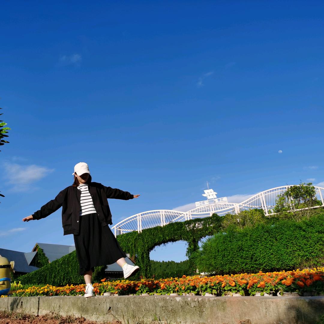 朱朱