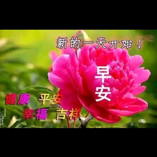 红红火火