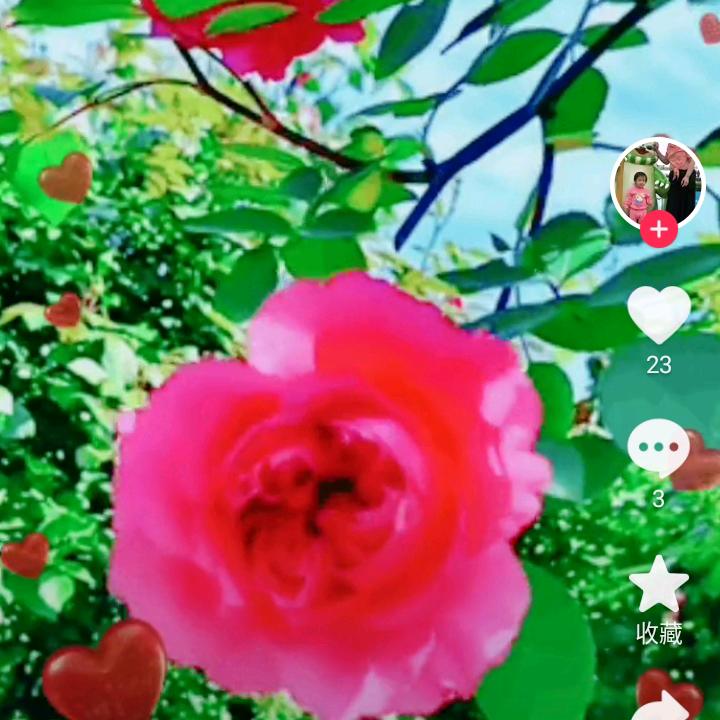 快乐人生a