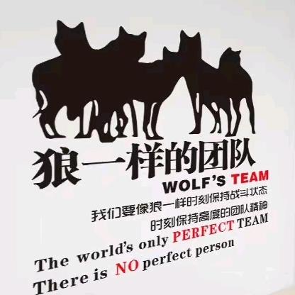 小林，高明，龙江。九江，江门专线