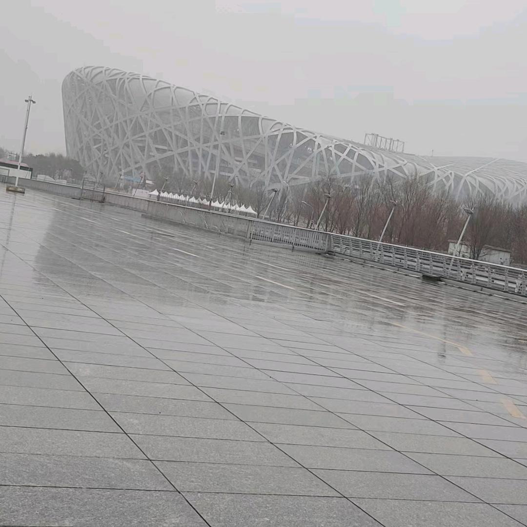 风的翅膀