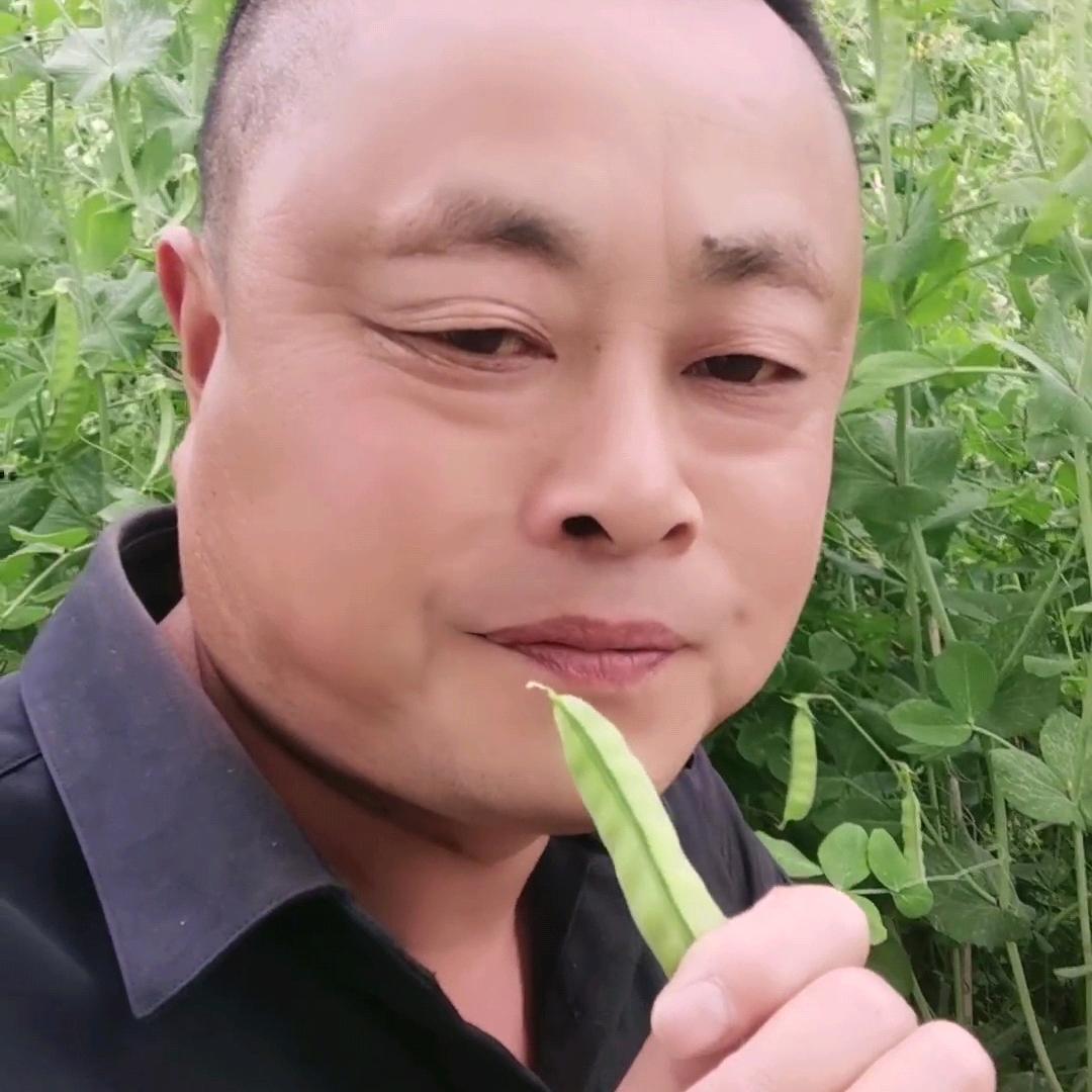 秦汉博观
