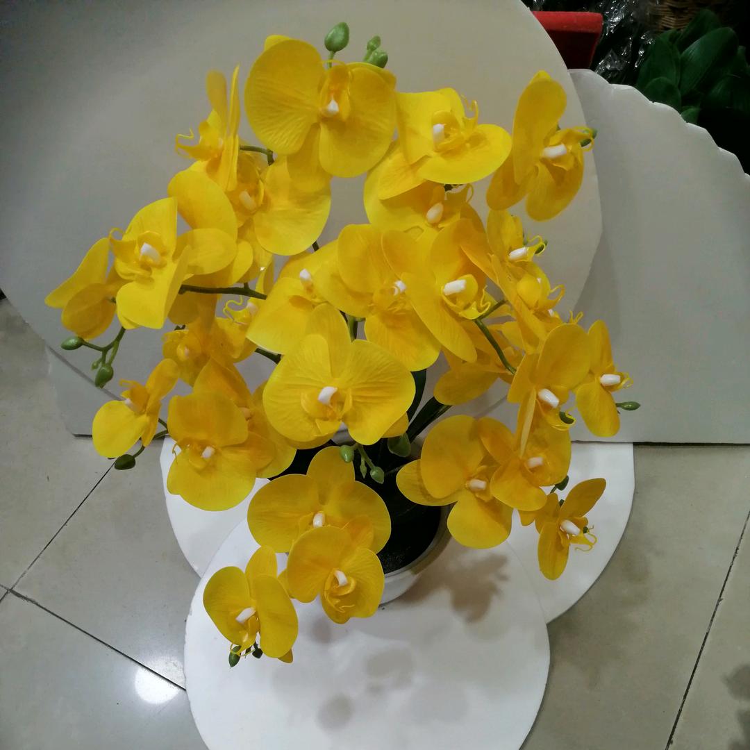 开心如意