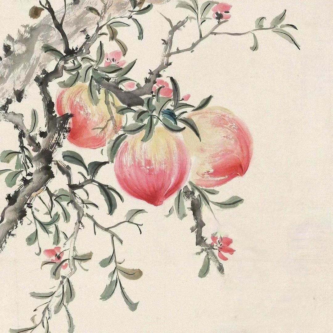 知足常乐（好物分享）