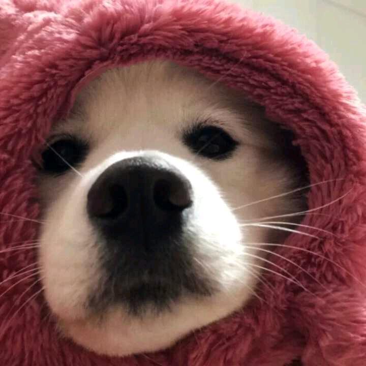 零零落落。
