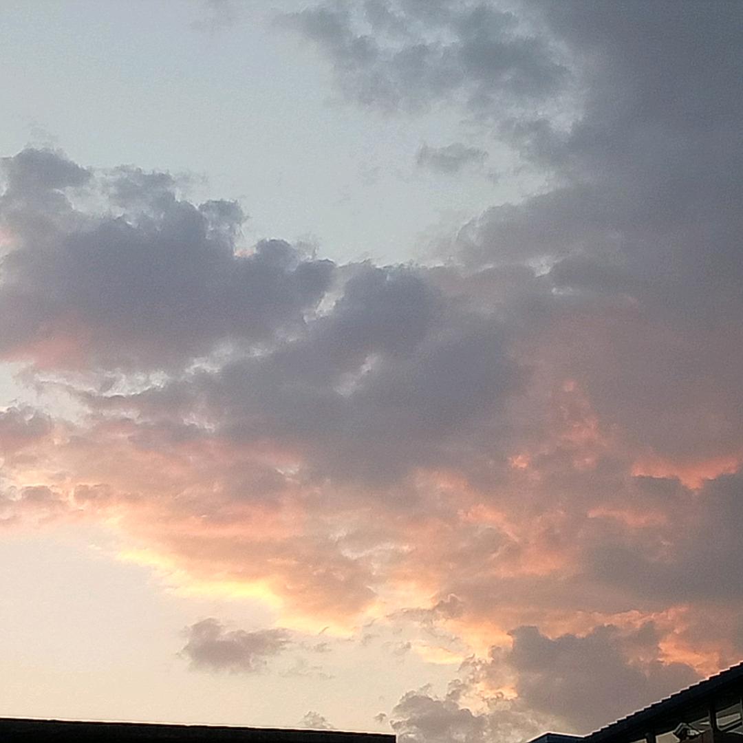 昙花一现