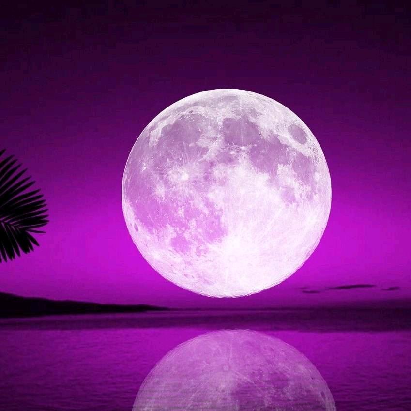 月亮🌙🐇