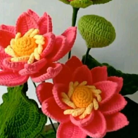 刘桂英🌹🌹🌷🌷💐💐