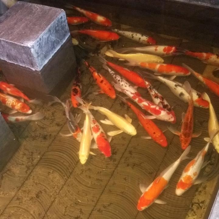 拼搏518