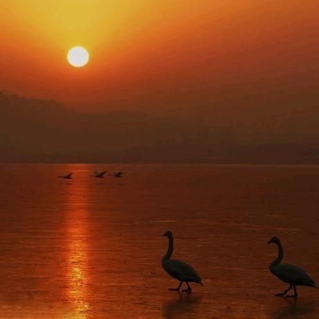 江畔何人初见月