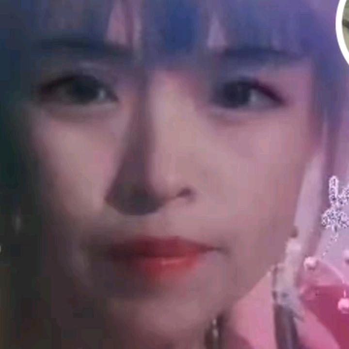 牡丹花开