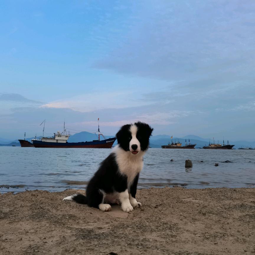 海风哦