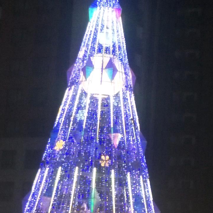 倪国