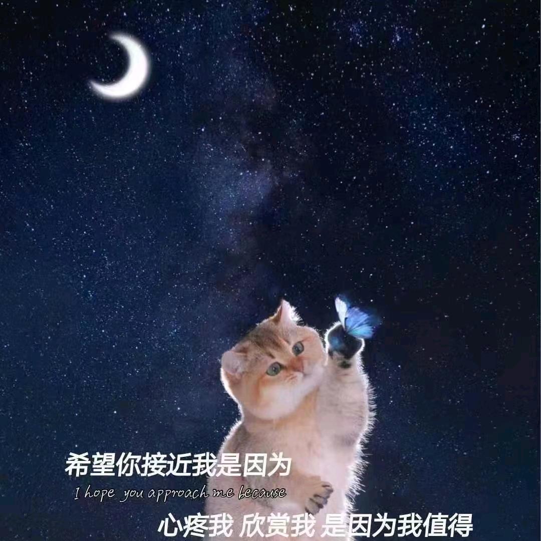 梦醒了&&&&