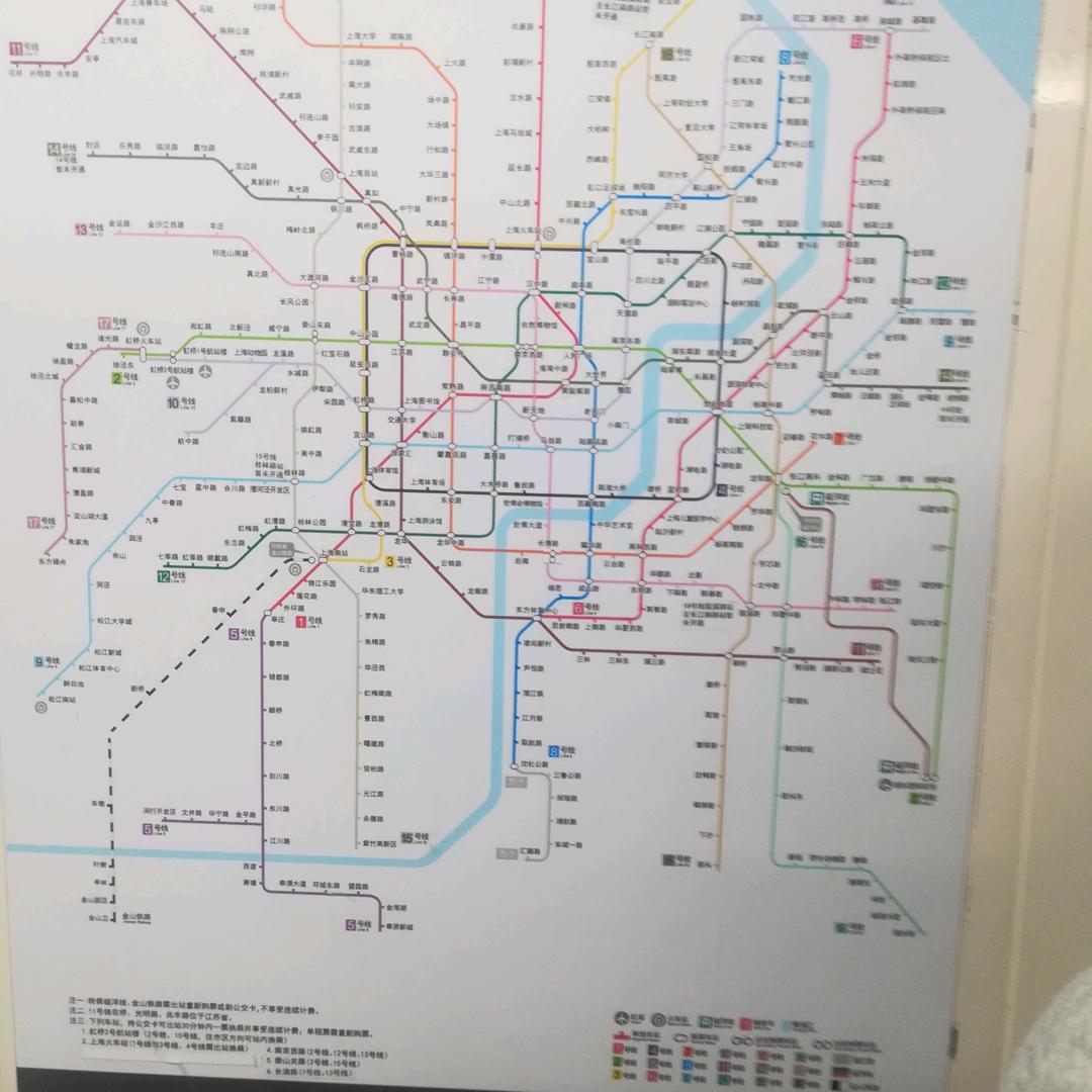 苏北小茆