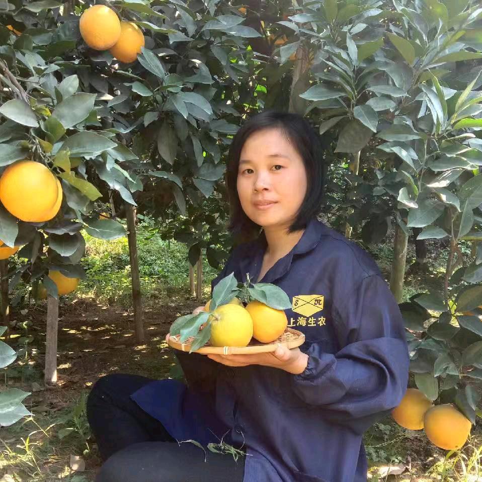 果田橙甜