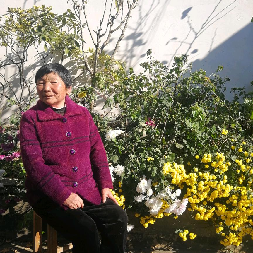 和睦