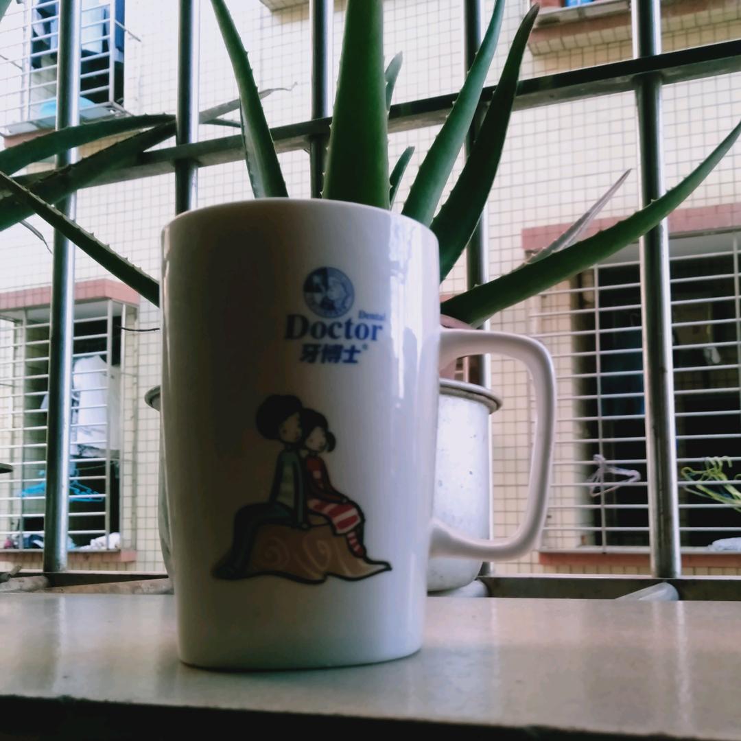 🌴🌴杯子🌷🌷