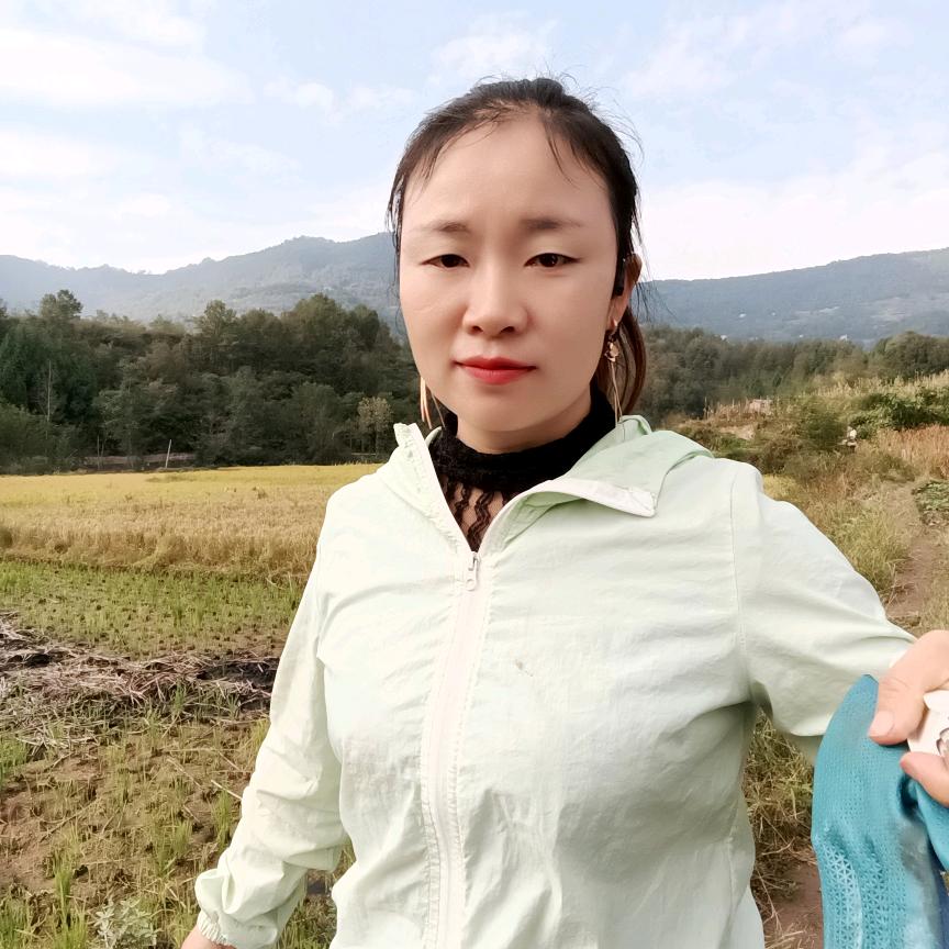 与云霞共酌