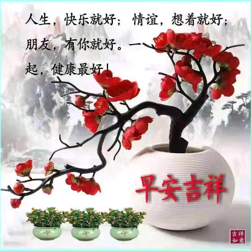 小丸子@
