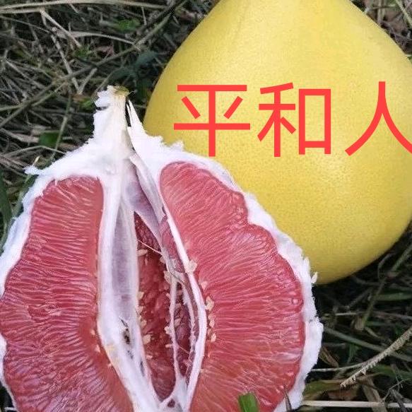 离婚🐉小媳妇