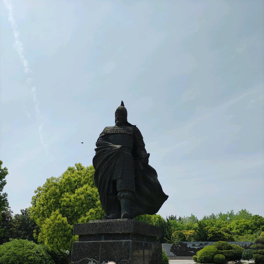 棇