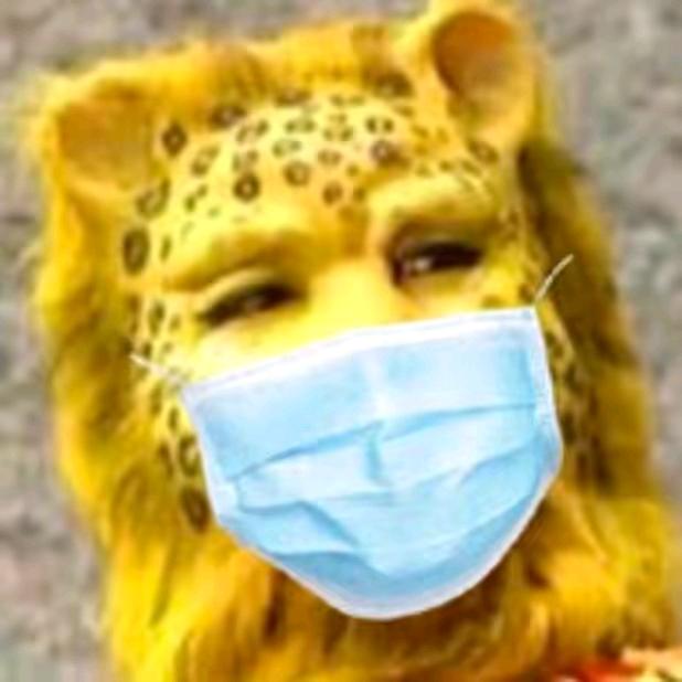 胜者为王 败者为寇