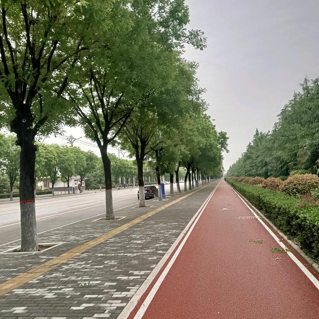 冈拉梅朵（拒绝连赞）