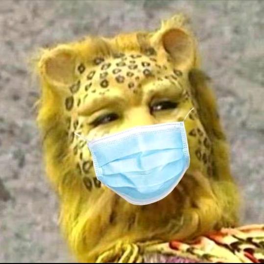 歆丶随风