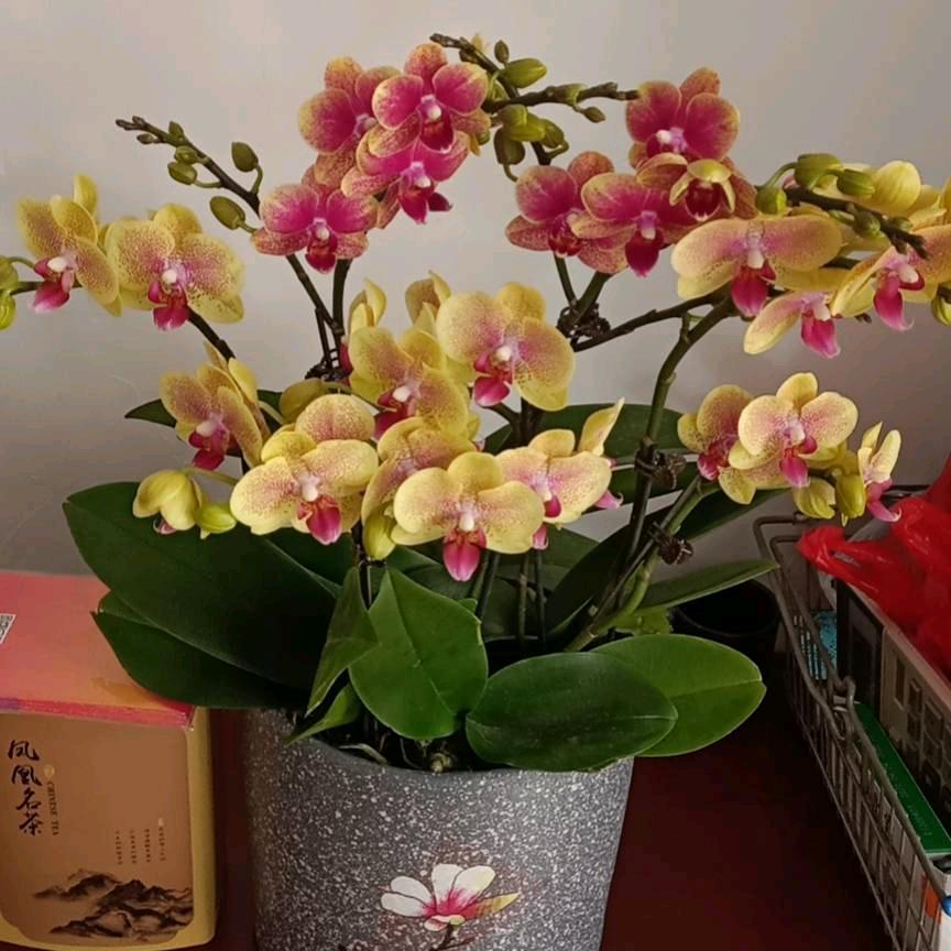 风淡云轻