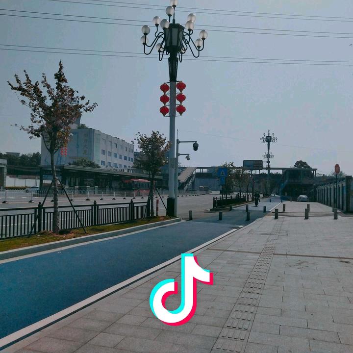 阳