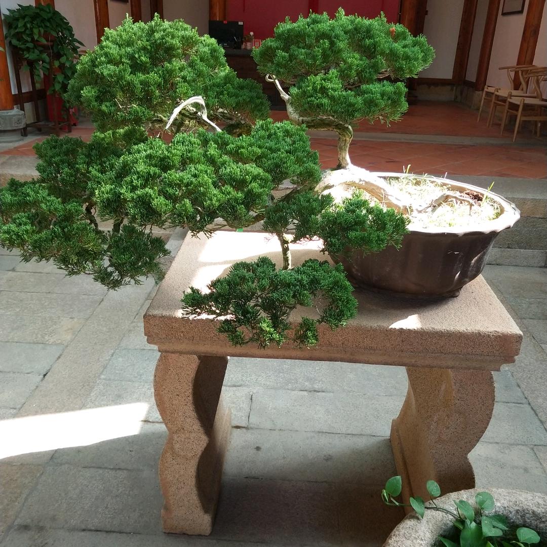 闽南郎