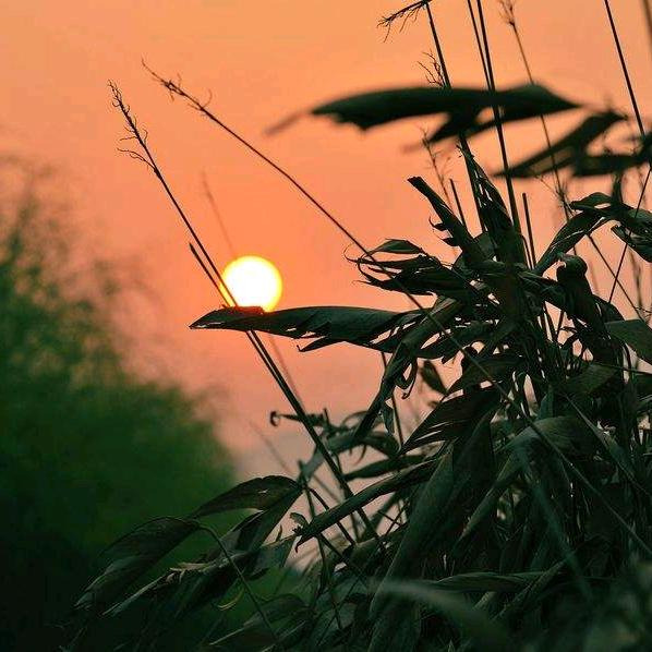 小太阳