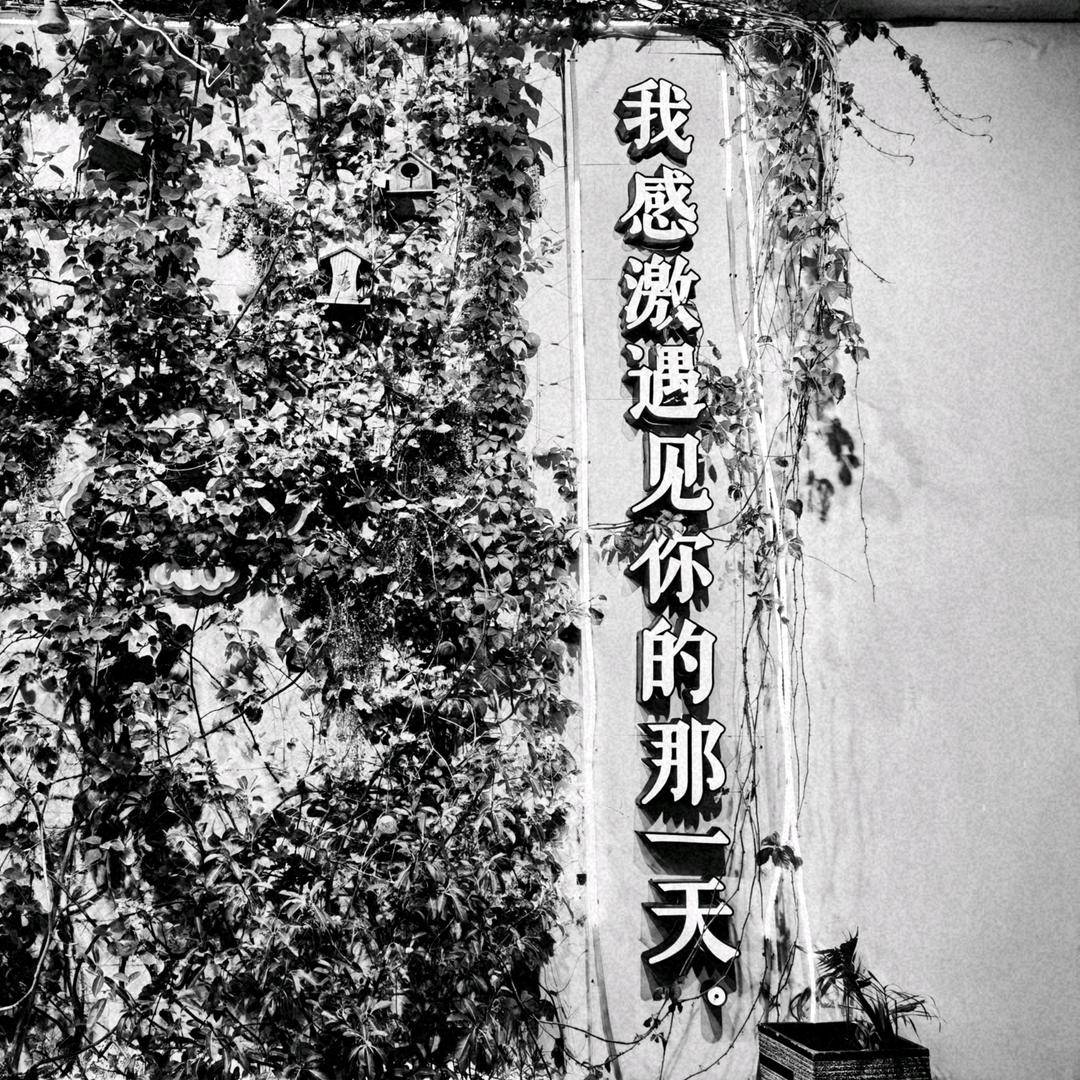 ___落杳___