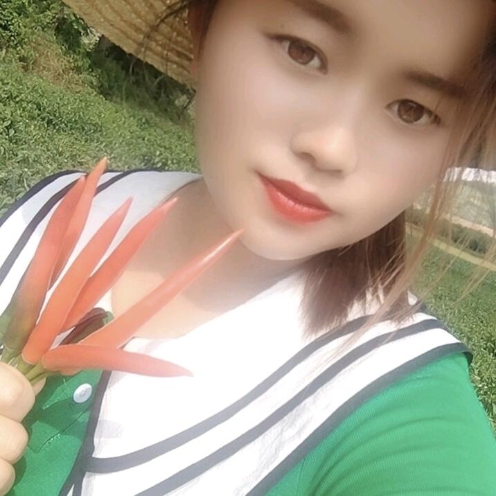 杨多余☞朝天椒种苗☜