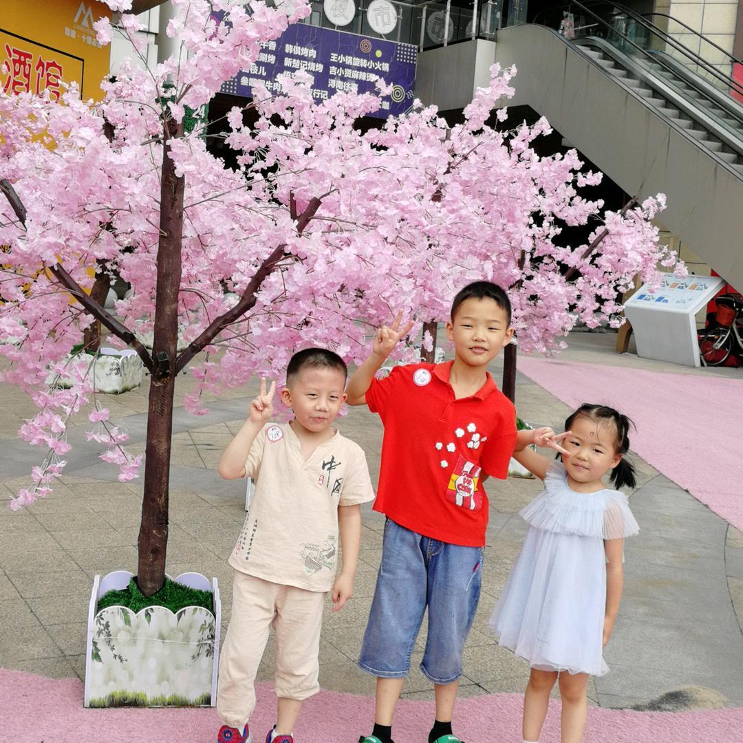 还是那朵莲